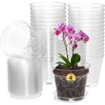 Lot de 30 pots a orchides transparents de 10 cm en plastique avec trous pour pot d'orchides, plantes ...