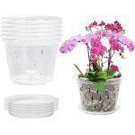 Lot de 5 pots a orchides transparents de 14 cm en plastique avec trous et soucoupes, pots de ppinire ...