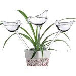 Lot de 6 globes d'arrosage en verre avec pics anti - oiseaux auto - arrosants pour plantes, int�rieur ...