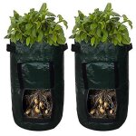 Lot de 6 housses de chaise élégantes en polyester - elastiques, lavables en machine, adaptées à la plupart ... Lot de 6 housses de chaise élégantes en polyester - elastiques, lavables en machine, adaptées à la plupart ...