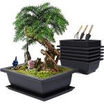 Lot de 6 pot pour bonsai avec soucoupe, 23x17x8cm pots de fleurs en plastique avec outillage de jardin, ...