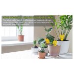 Lot de 72 pieges collants pour mouches des fruits, moucherons, insectes, plantes, cuisine, interieur ...