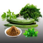 Lot de 800 graines a semer - le grenier d'abondance - aromatiques - tzatziki raiita - 5 sachets individuels ...