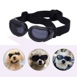 Lunettes de soleil pour petit chien, imperméables, coupe - vent, protection uv, pour chien et chiot Lunettes de soleil pour petit chien, imperméables, coupe - vent, protection uv, pour chien et chiot