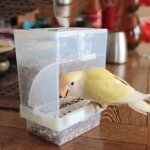 Mangeoire automatique en acrylique pour oiseaux, petit format 10x12x7. 5cm, conteneur de nourriture pour ...