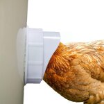 Mangeoire automatique pour volaille pro, avec 4 orifices d'alimentation, en plastique, gravit�, adapt� ...