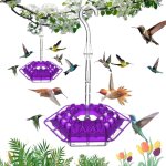 Mangeoire  colibris anti - fourmis et anti - abeilles avec 30 orifices d'alimentation - mangeoire suspendue ...