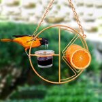 Mangeoire a oiseaux yo - oriole pour l'extérieur, mangeoire a oiseaux a double tasse, a gelée d'oranges ... Mangeoire a oiseaux yo - oriole pour l'extérieur, mangeoire a oiseaux a double tasse, a gelée d'oranges ...