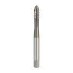 Masch. 371. dents expos�es.