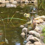 Mevronisshop - decoration bassin exterieur tortue, tortue decoration jardin exterieur, statue jardin, ...