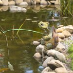 Mevronisshop - decoration bassin exterieur tortue, tortue decoration jardin exterieur, statue jardin, ...