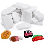 Mevronisshop - galets a peindre 20pcs 3 - 5cm galet blanc pierres plates a peindre peinture diy naturelles ...