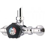 Mitigeur temporis� douche presto alpa presto