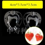 Moule carr de style de fruit de jardin, waterneutrharvey, moule de style de croissance de pomme de concombre, ...