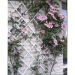 Nature palissade de jardin 100 x 200 cm pvc blanc
