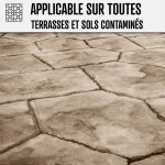 Nettoyant terrasse professionnel rapide pav autobloquant pierre bton 20 l