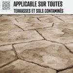 Nettoyant terrasse professionnel rapide pav autobloquant pierre bton 200 l