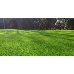 Nmp - m�lange de semences pour gazon sport 10kg - gazon sport 10kg