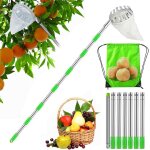 Nouvelhorizonstore - 3 m cueille fruit telescopique, cueilleur de fruits amovible, ramasse fruits telescopique ...