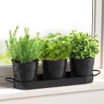 Nouvelhorizonstore - lot de 3 pots en m�tal avec plateau a herbes aromatiques mini cactus succulent vase, ...