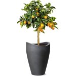 Nouvelhorizonstore - 54265 254 / 40 wave globe high pot de fleurs plastique noir 30 x 30 x 40 cm