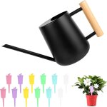 Nouvelhorizonstore - arrosoir plante interieur, 1l petit arosoir � long bec en acier inoxydable, arrosoir ...