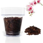 Nouvelhorizonstore - kit de rempotage d'orchid�es: 1 pot de fleurs transparent avec trous de drainage, ...