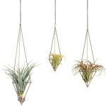 Nouvelhorizonstore - pcs de 3 support de plante � air pendaison pour tillandsia, air plantes support, ...