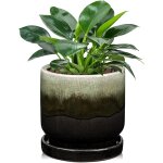 Nouvelhorizonstore - pot en c�ramique pour plantes, 13 cm, vase de plantation en c�ramique, petit pot ...