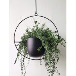 Nouvelhorizonstore - pot de fleurs boh�me en m�tal noir � suspendre au mur et au plafond - design moderne ...
