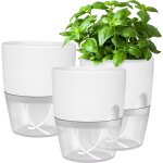 Nouvelhorizonstore - potager jardiniere interieur - pot � herbes - pour rebord de fen�tre - avec syst�me ...