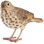 Oiseau dcoratif extrieur en polyrsine grive musicienne