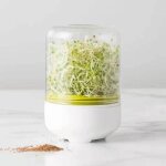 Outil de germination des plantes pour les cadres suprieurs, kit lauren, pot de germination, bocaux. ...