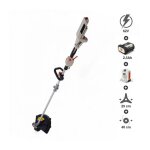 Pack coupe - bordures à batterie 62v daewoo puissante batterie et chargeur inclus dalst62bl - 16d - 2 ... Pack coupe - bordures à batterie 62v daewoo puissante batterie et chargeur inclus dalst62bl - 16d - 2 ...