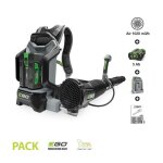 Pack souffleur professionnel 1020m3 heure batterie dorsale 5ah chargeur rapide ego power + lb6002e