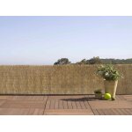 Paillon de roseaux entiers reedcane - 1, 50 x 5 m