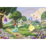 Papier peint arc - en - ciel princesses disney 368x254 cm Papier peint arc - en - ciel princesses disney 368x254 cm