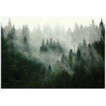 Papier peint intiss� panoramique for�t brume vert nature 400x280 cm - colle inclus - chambre et salon ...