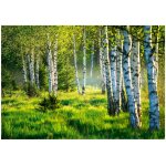 Papier peint panoramique intiss� foret vert 300x210 cm - colle inclus - chambre et salon - moderne papier ...