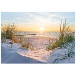 Papier peint panoramique intiss� plage mer 350x250 cm - colle inclus - chambre et salon - moderne papier ...