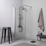 Paroi de douche walk - in en 110 cm h 190 cm verre transparent