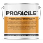 Peinture blanc satin int�rieur murs, plafonds, pl�tres, fer, bois, radiateur, 2 en 1, impression et finition ...
