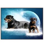Peinture de broderie de strass 5d, bricolage, peintures dcoratives pour la maison