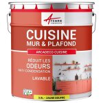 Peinture cuisine lessivable absorbe les odeurs jaune soufre ral 1016 2. 5 l