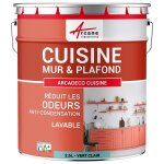 Peinture cuisine lessivable absorbe les odeurs vert clair - ral 6027 2. 5 l