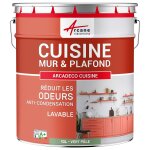 Peinture cuisine lessivable absorbe les odeurs vert p�le ral 6021 10 l