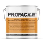Peinture fa�ade mat hydropliolite profacile, impression, finition, durable jusqu'a 10 ans 2. 5 litres ...
