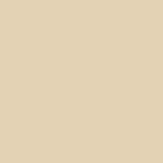 Peinture mat mur et plafond biosourc�e - peinture chambre, salon, pi�ces � vivre ivoire clair - ral 1015 ...