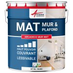 Peinture murale, mat blanche blanc 10 l