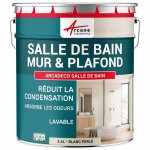 Peinture salle de bain mur plafond condensation blanc perl� - ral 1013 2. 5 l